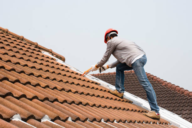 Best Roofing for New Construction  in Long Grove, IL